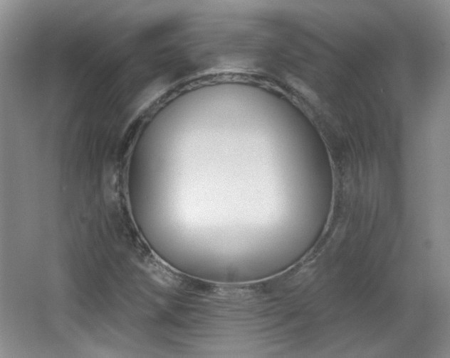 X0000066011258200603031214