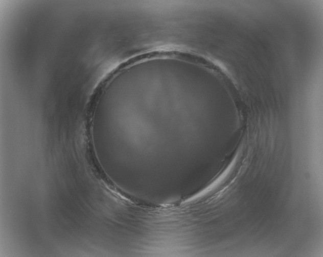 X0000066011263200603031214