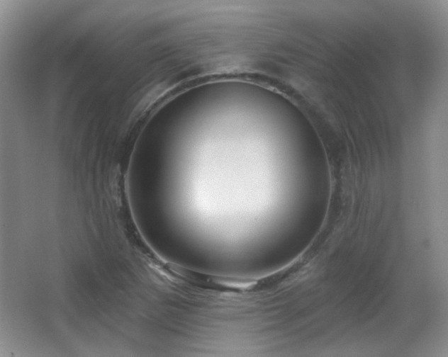 X0000066011265200603031214