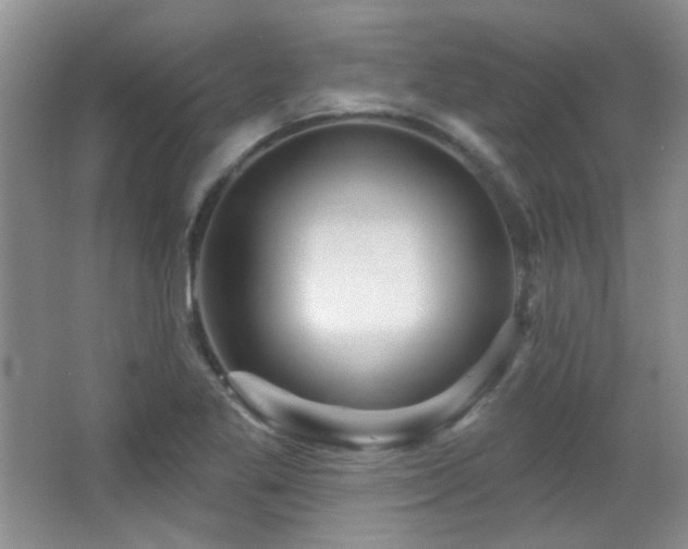X0000066011269200603031214