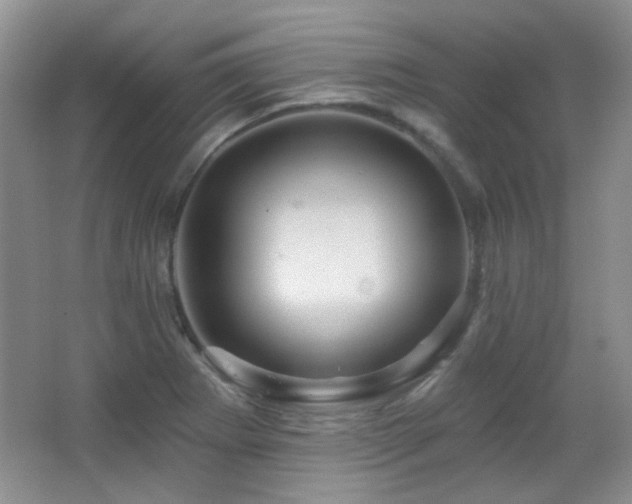 X0000066011273200603031213