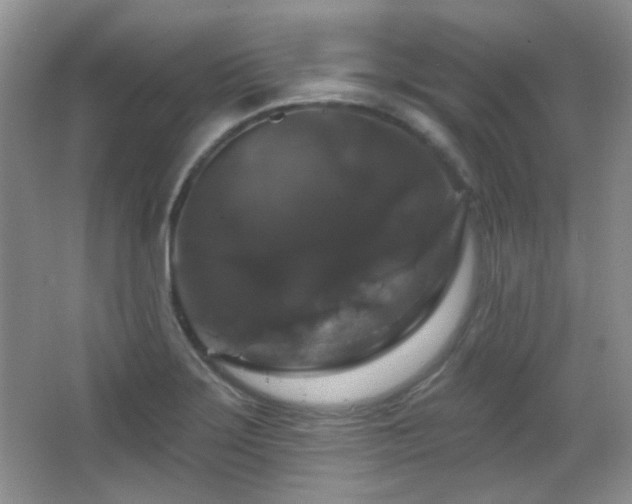 X0000066011275200603031213