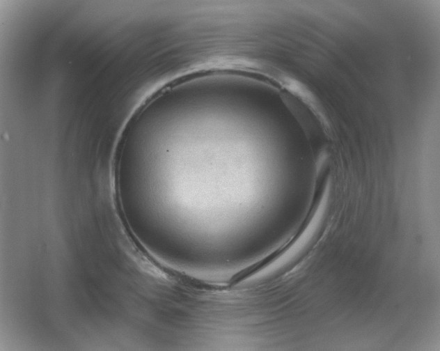X0000066011280200603031213