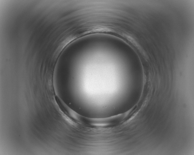 X0000066011281200603031213