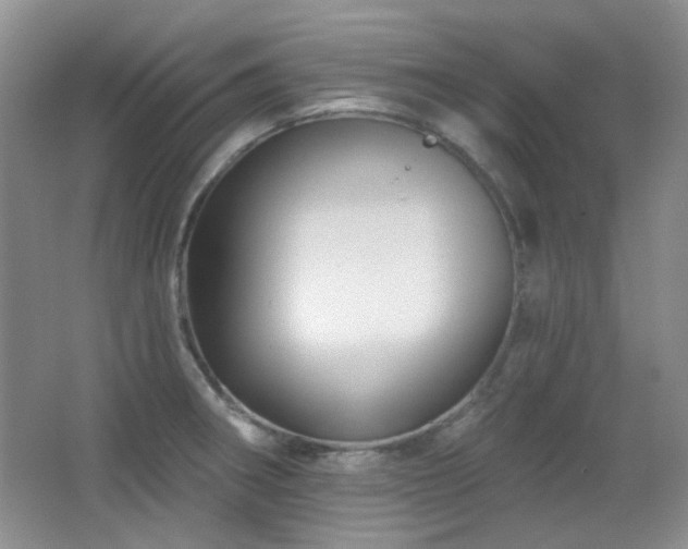 X0000066011282200603031213