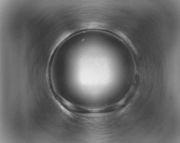 X0000066011285200603031213