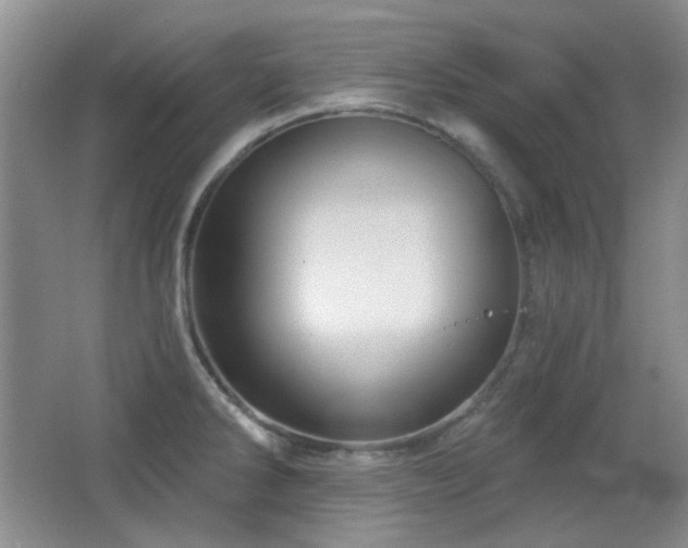 X0000066011286200603031213