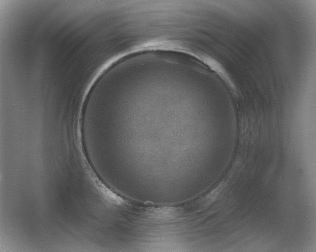 X0000066011288200603031213