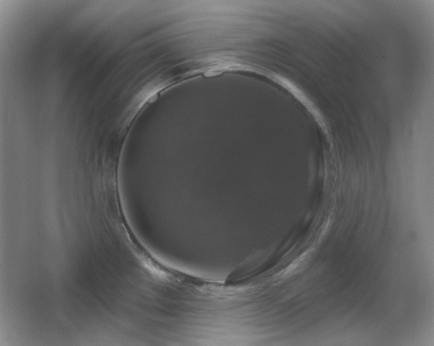 X0000066011289200603031213