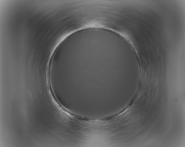 X0000066011295200603031213