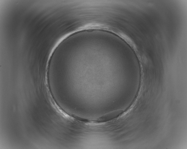 X0000066011296200603031213