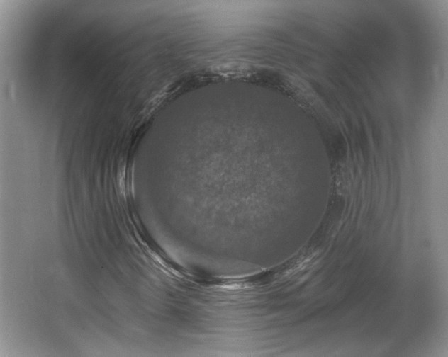 X0000066011298200603031212