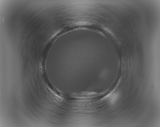 X0000066011305200603031212