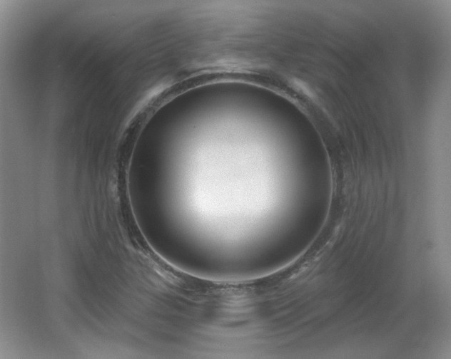 X0000066011307200603031212