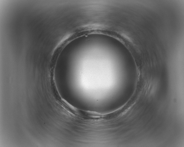 X0000066011309200603031212
