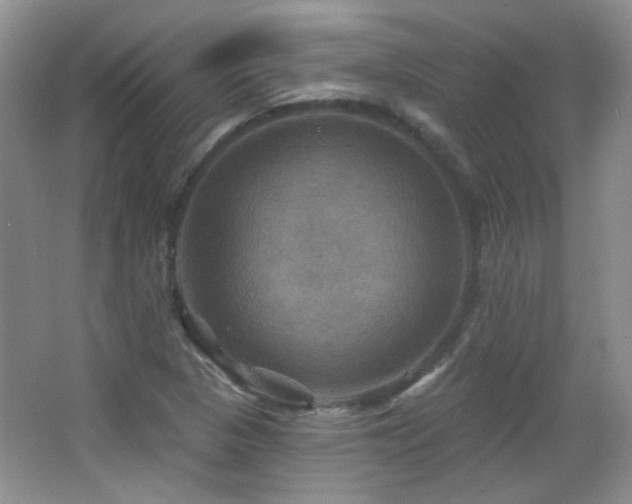 X0000066011313200603031212