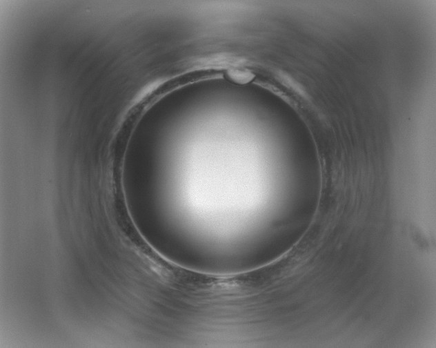 X0000066011315200603031213