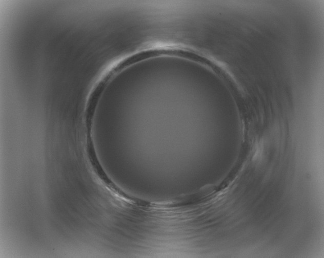 X0000066011319200603031213