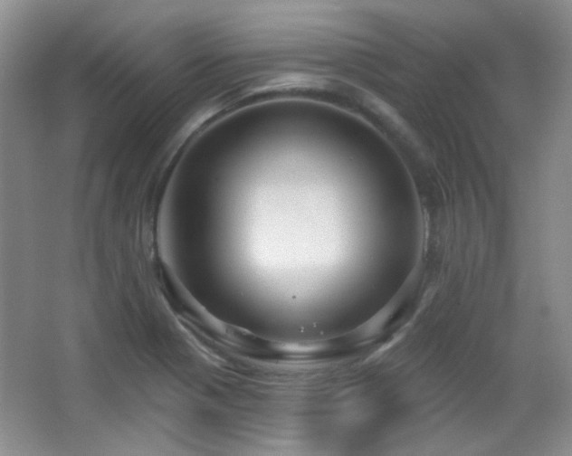 X0000066011321200603031213