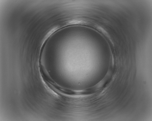 X0000066011330200603031213