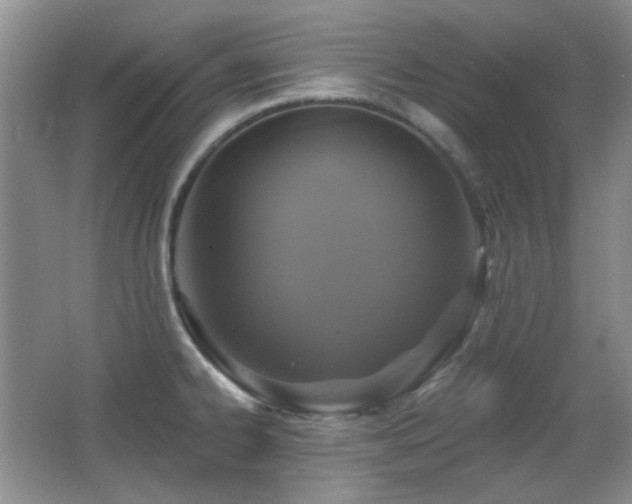 X0000066011334200603031213