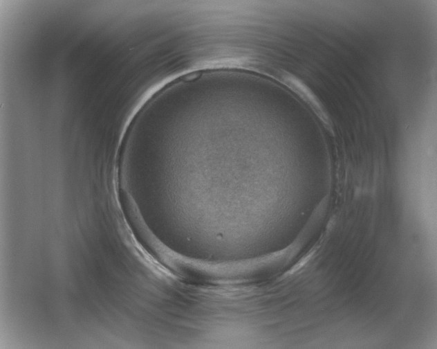 X0000066011340200603031213