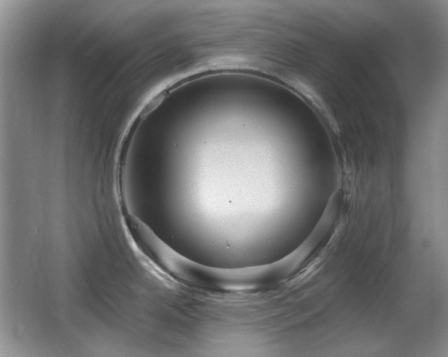 X0000066011342200603031213