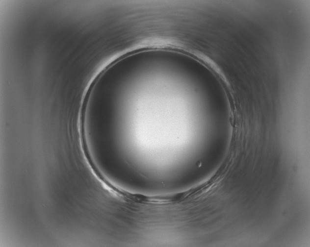 X0000066011343200603031213