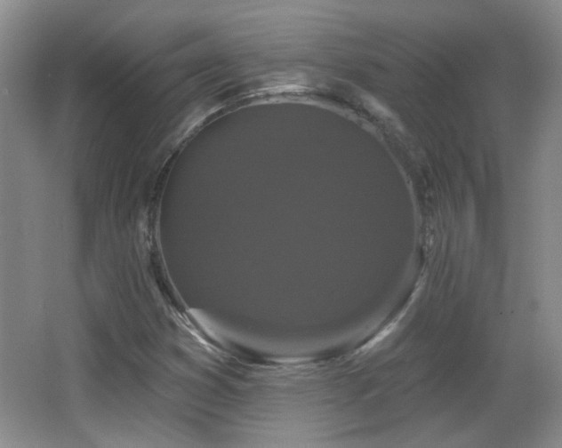 X0000066011353200603031212