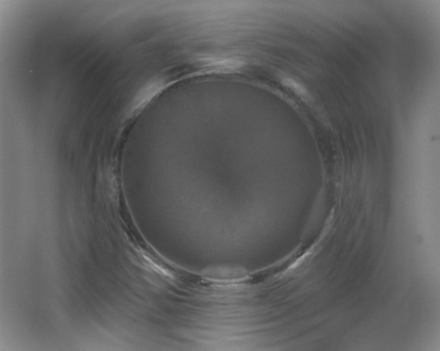 X0000066011354200603031212
