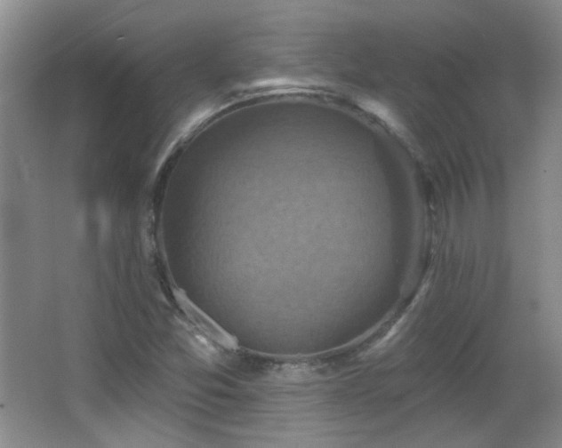 X0000066011357200603031212