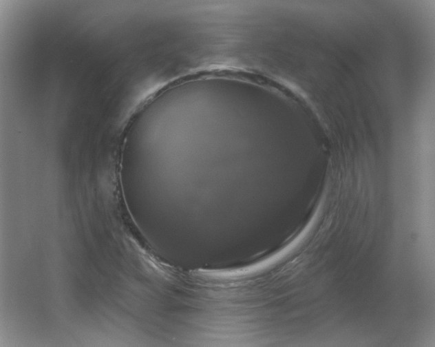 X0000066011359200603031212