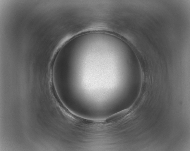 X0000066011366200603031212