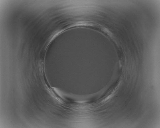 X0000066011369200603031212