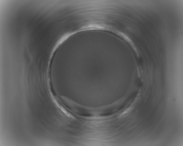 X0000066011373200603031212