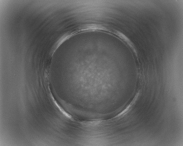 X0000066011385200603031212