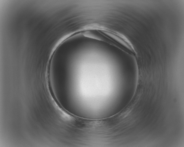 X0000066011387200603031211