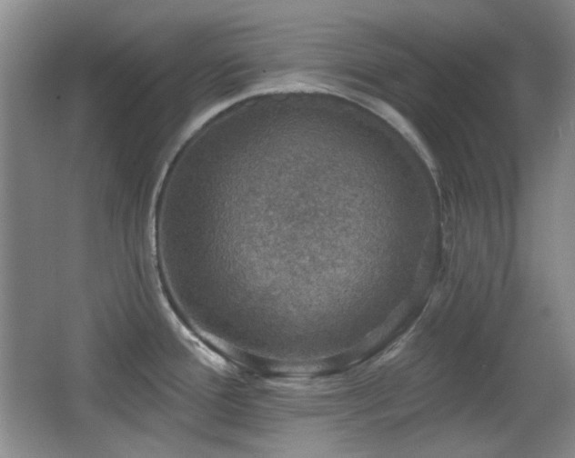 X0000066011388200603031211