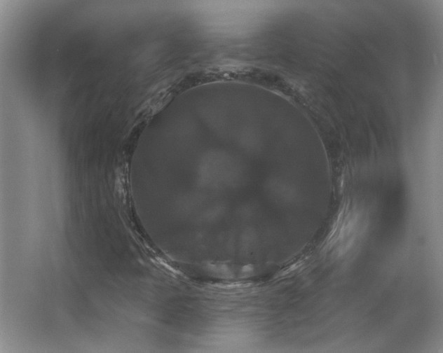 X0000066011397200603031211