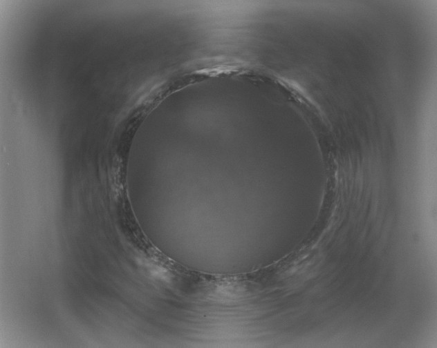 X0000066011399200603031211