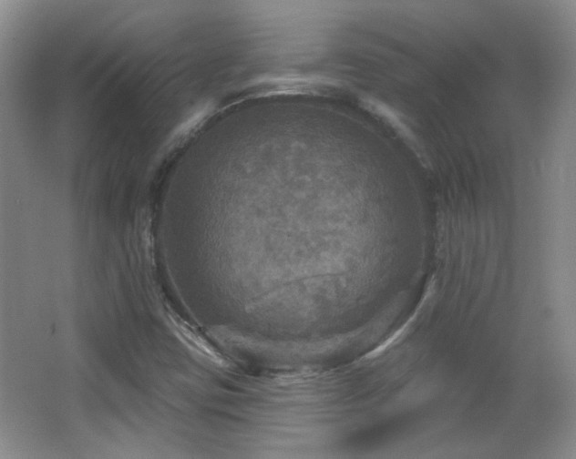 X0000066011403200603031211