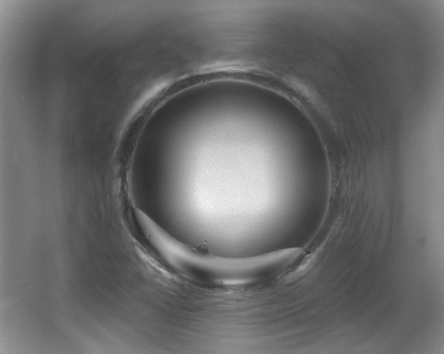X0000066011406200603031211