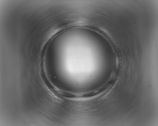 X0000066011410200603031211