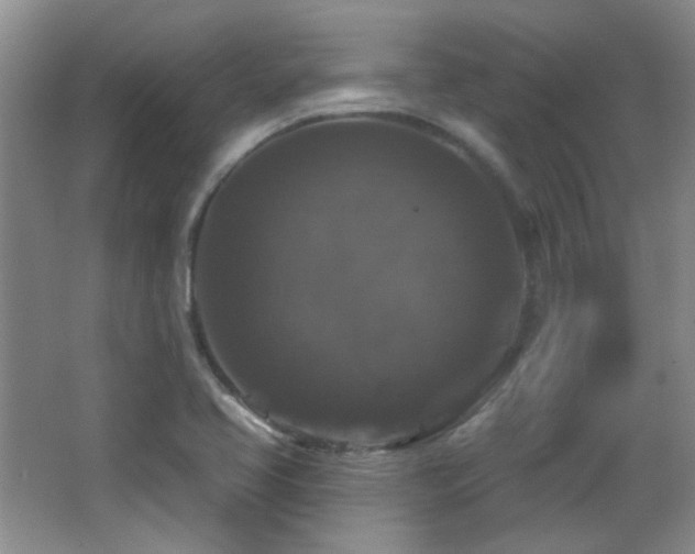 X0000066011413200603031211