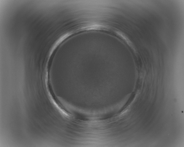 X0000066011418200603031211