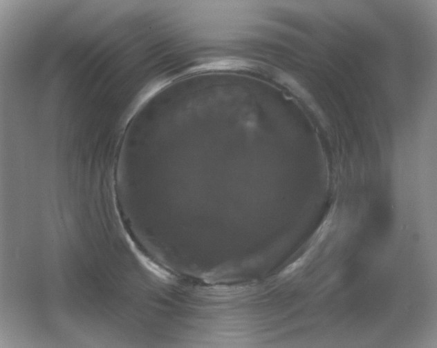 X0000066011425200603031211