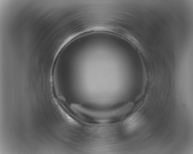 X0000066011428200603031211