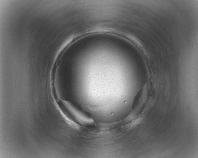 X0000066011430200603031211