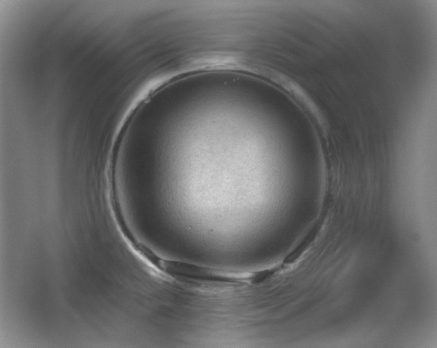 X0000066011432200603031211