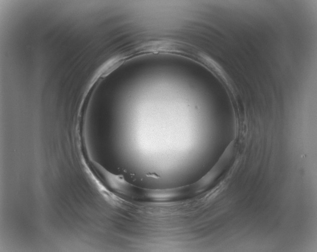 X0000066011434200603031211